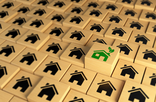 10 Tips to Green Your Home and $ave Money