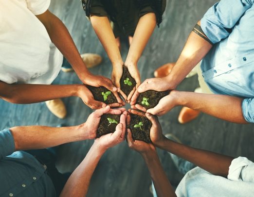 Employee Engagement and Education